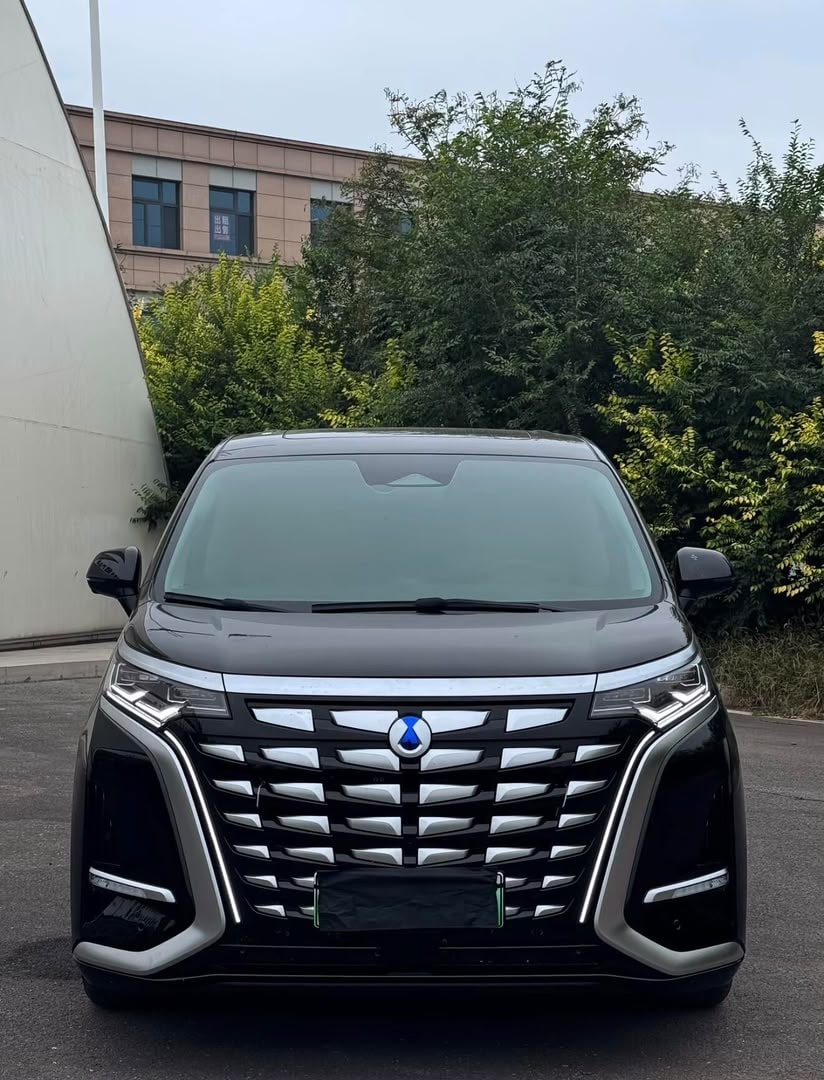 Denza D9 front grille with signature blue diamond badge