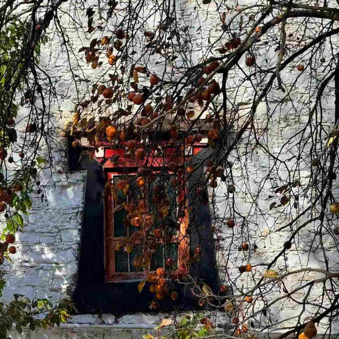 Tibet Sichuan Expedition | Western Sichuan Tour | Jay Chongqing Tour